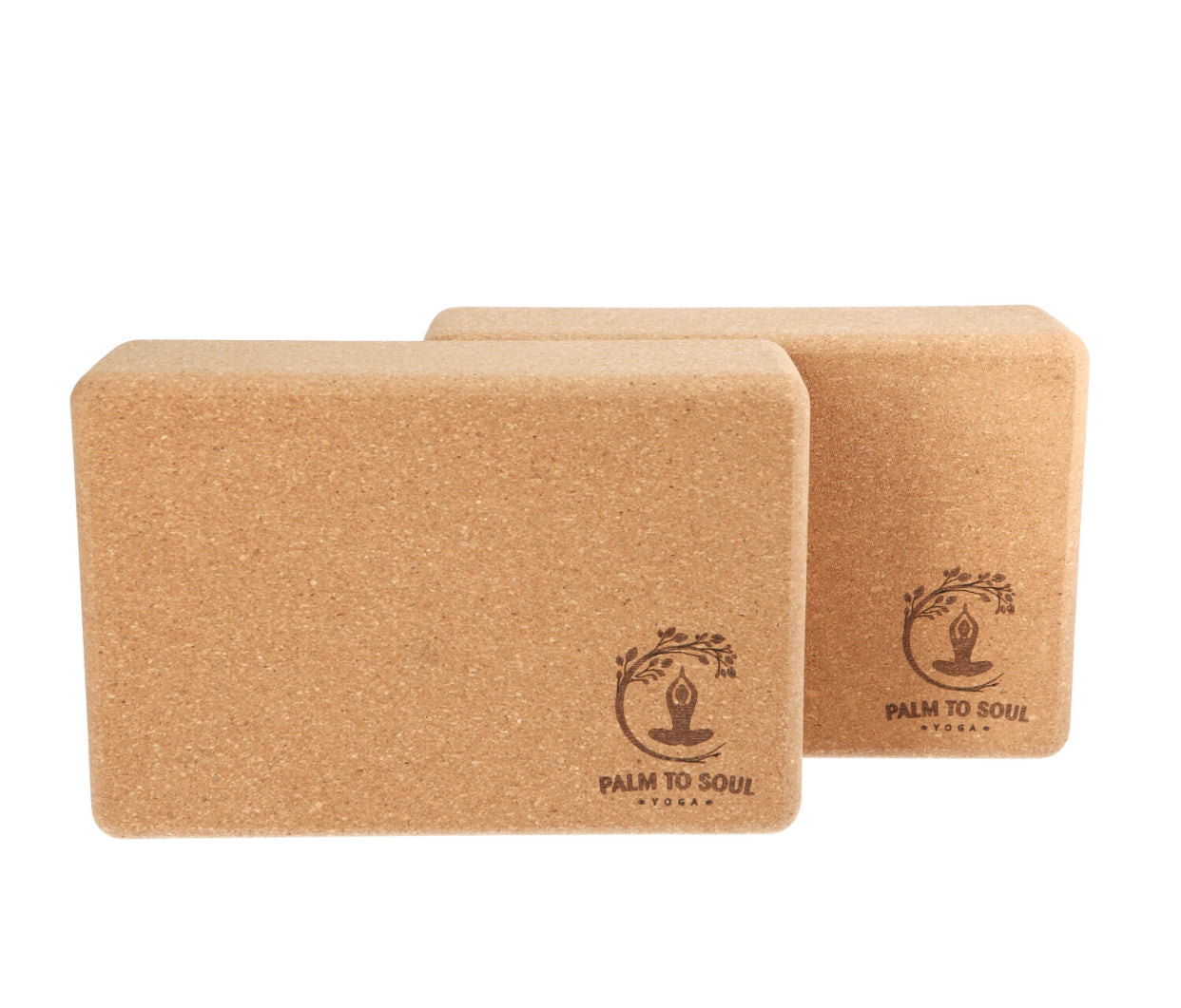 Cork Yoga Blocks (pair)
